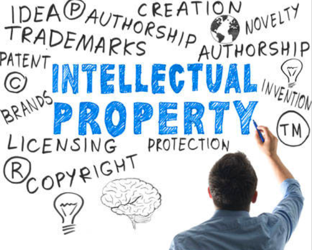 Intellectual Property Rights